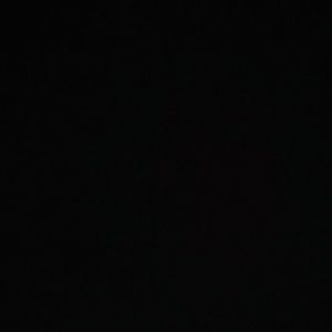 Meet your Posher, Darrell